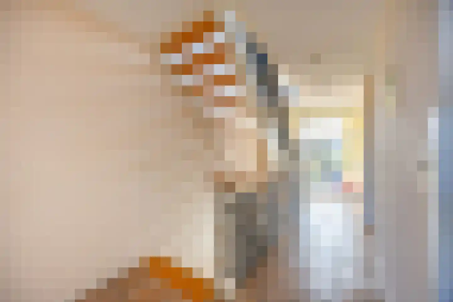 Krooneendstraat 22 Den Haag thumbnail 37