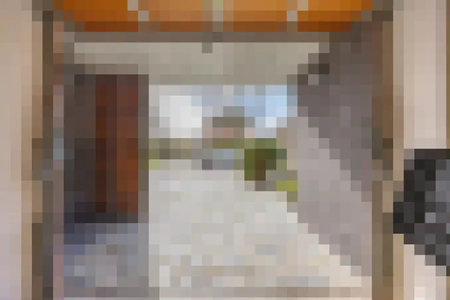 Krooneendstraat 22 Den Haag thumbnail 64