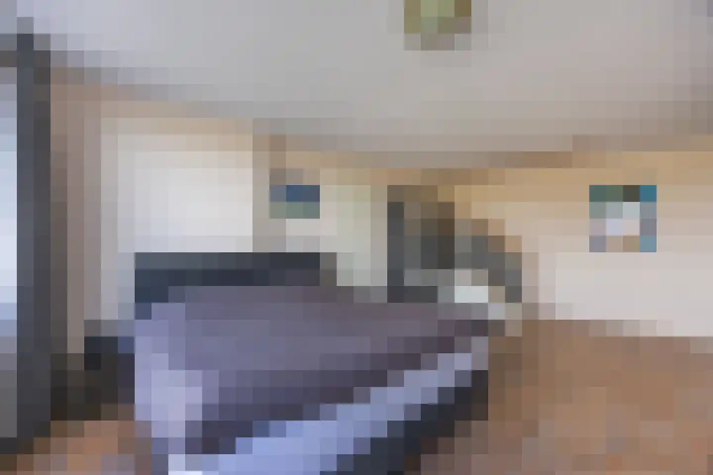 Krooneendstraat 22 Den Haag thumbnail 7