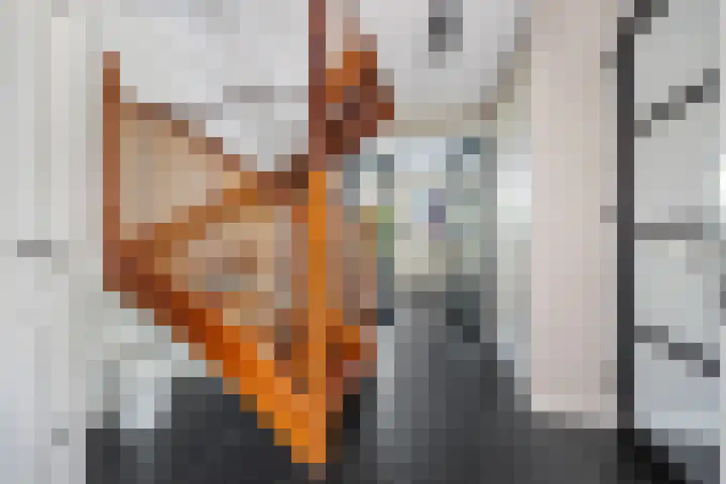 Krooneendstraat 23 Den Haag thumbnail 14