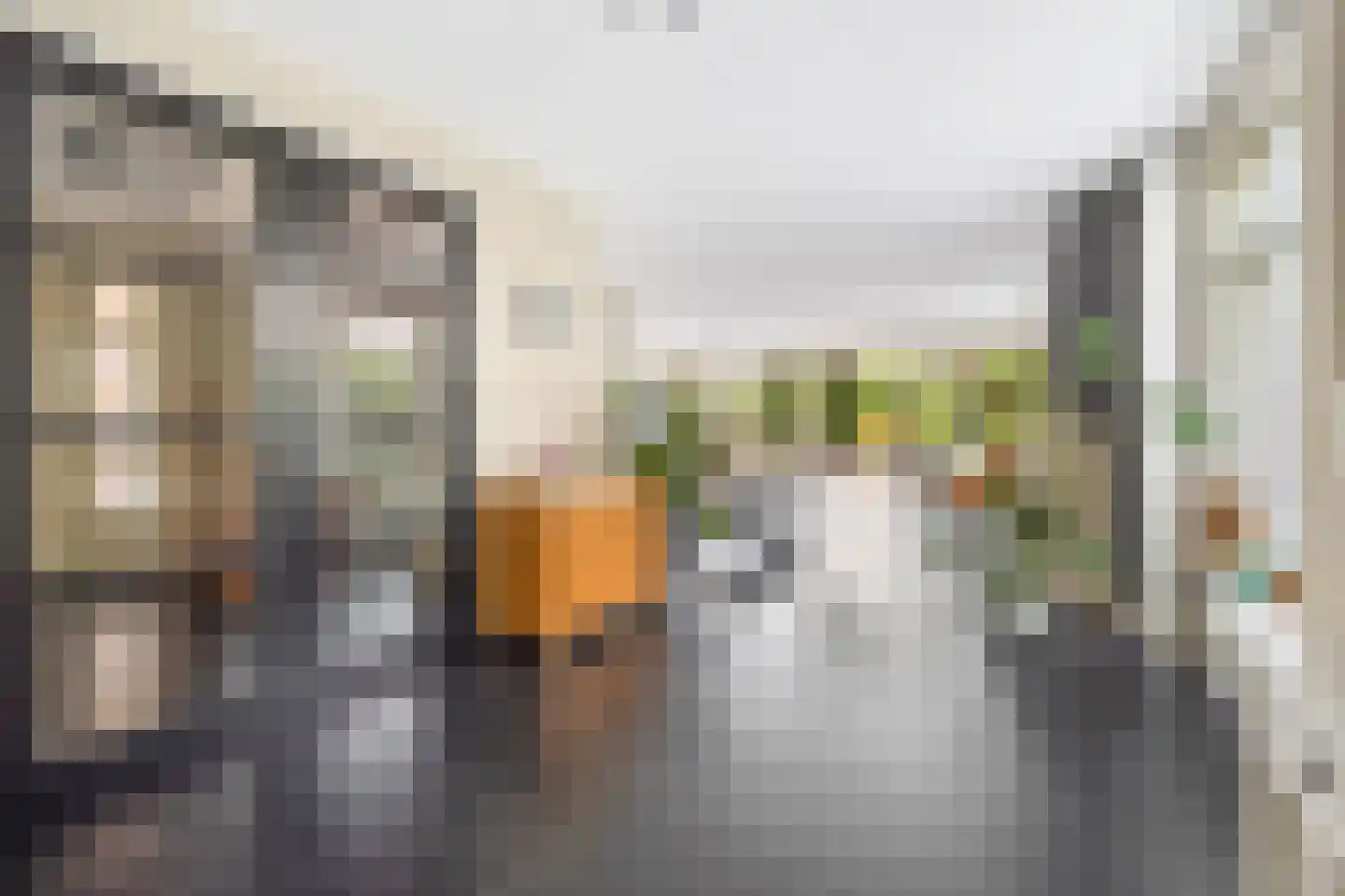 Krooneendstraat 23 Den Haag thumbnail 16