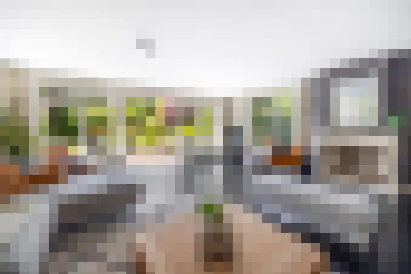 Krooneendstraat 23 Den Haag thumbnail 20