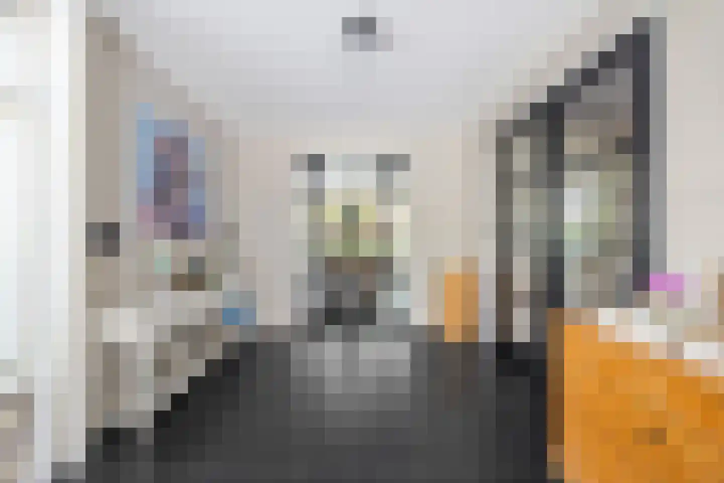 Krooneendstraat 23 Den Haag thumbnail 21