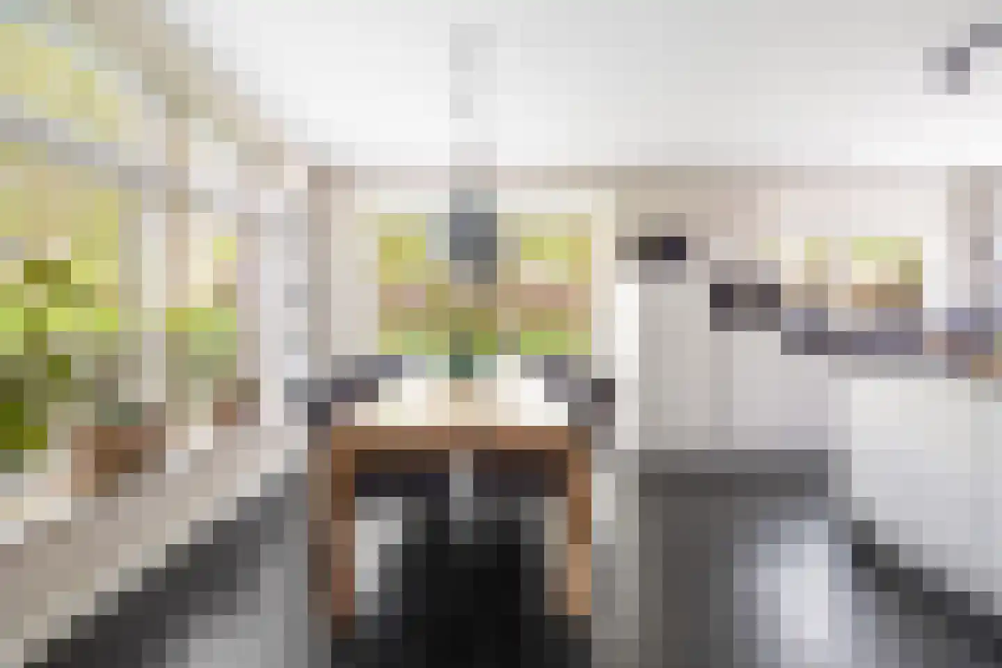 Krooneendstraat 23 Den Haag thumbnail 22