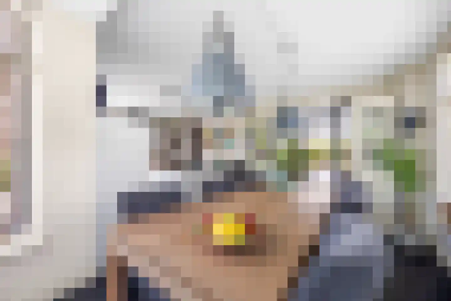 Krooneendstraat 23 Den Haag thumbnail 23