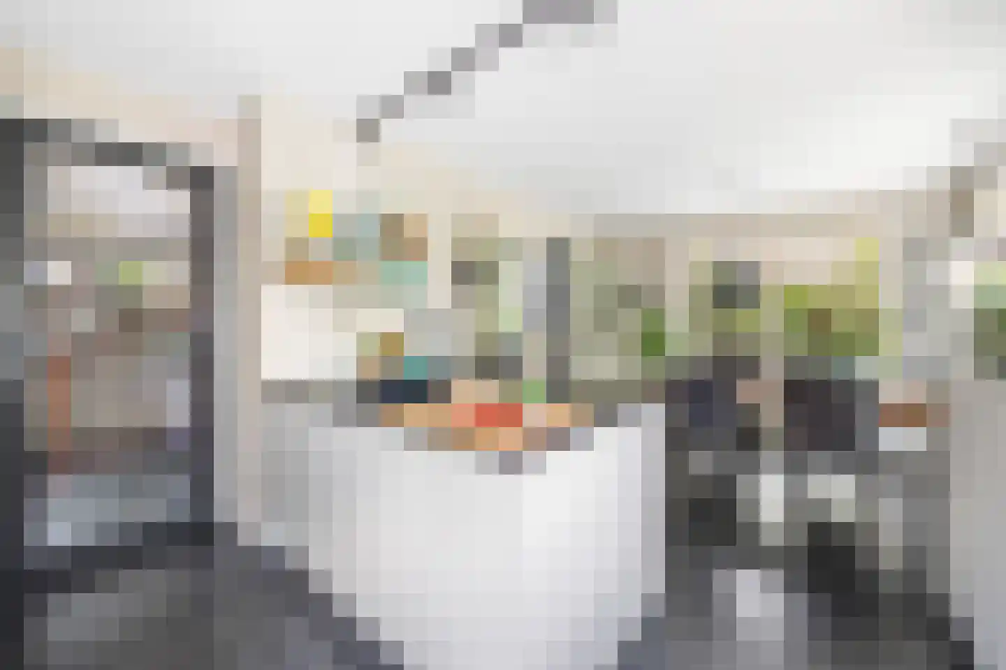 Krooneendstraat 23 Den Haag thumbnail 25