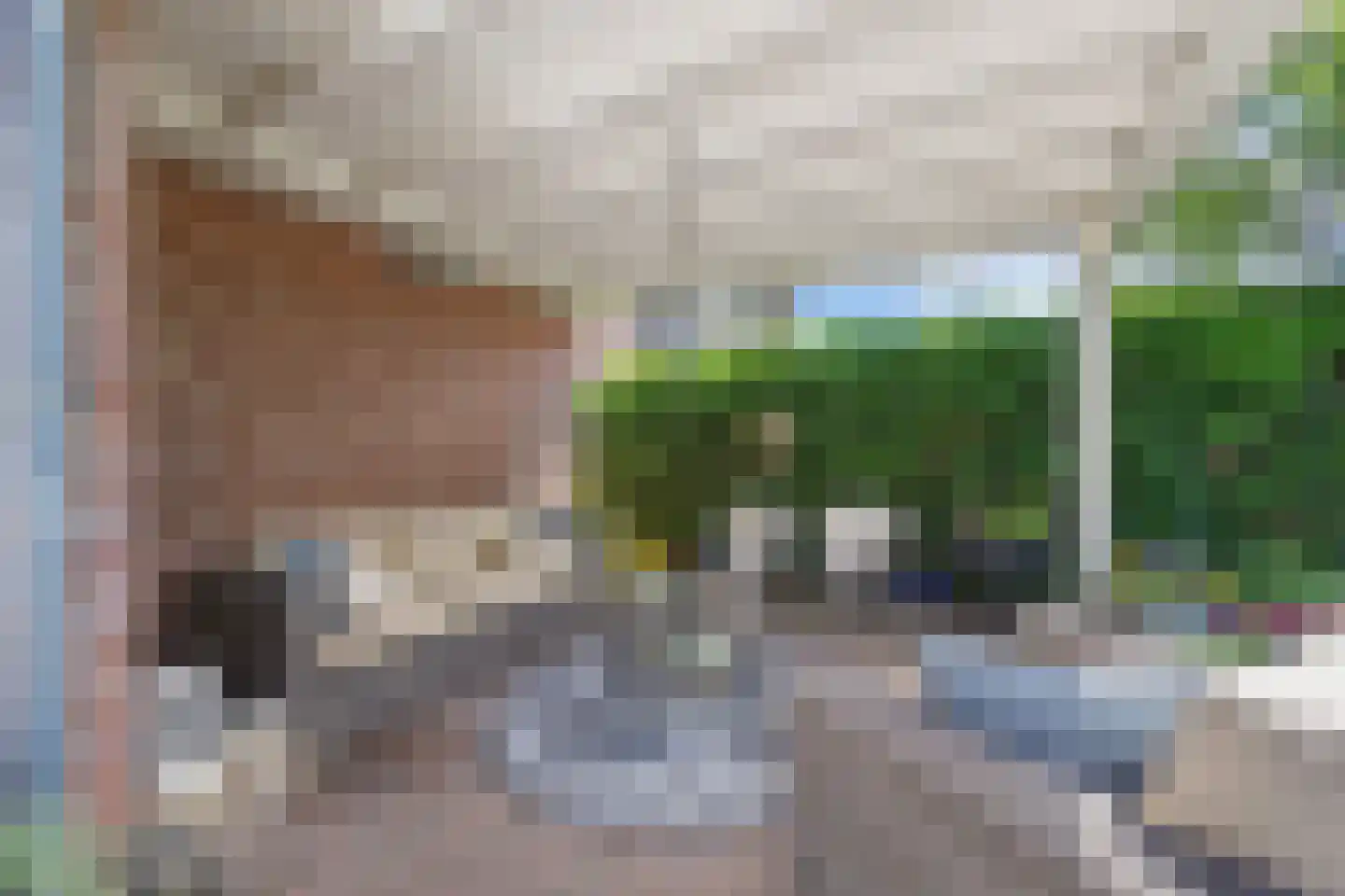 Krooneendstraat 23 Den Haag thumbnail 30