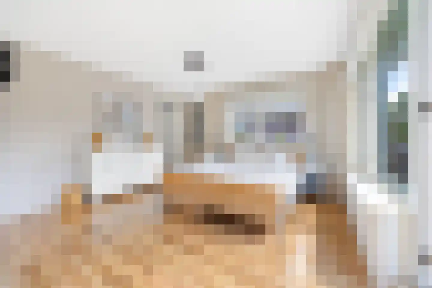 Krooneendstraat 23 Den Haag thumbnail 40