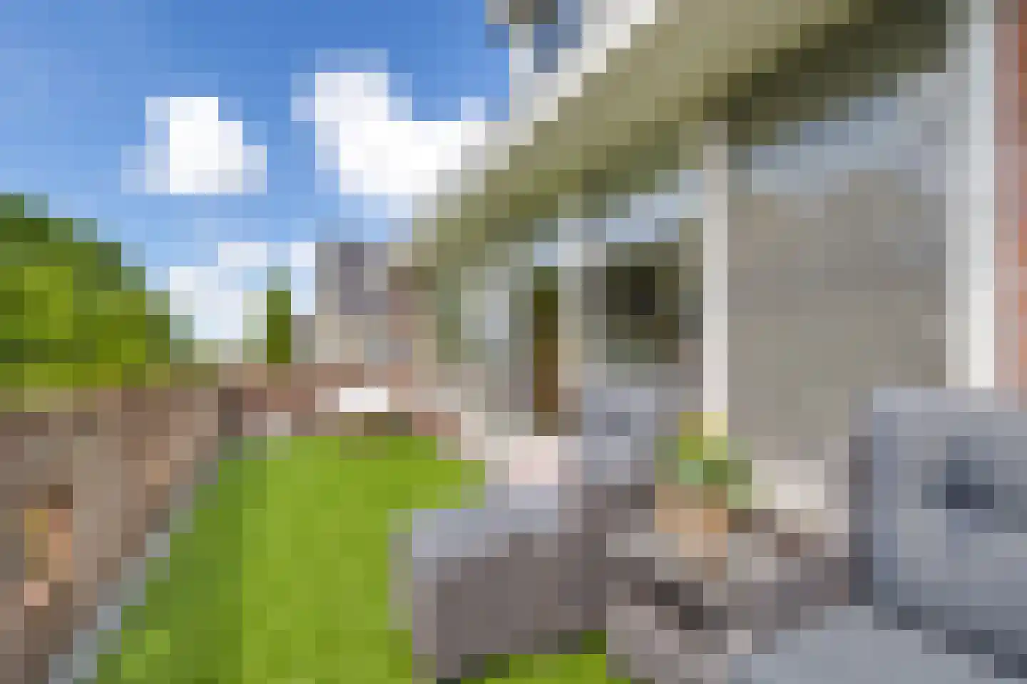 Krooneendstraat 23 Den Haag thumbnail 43