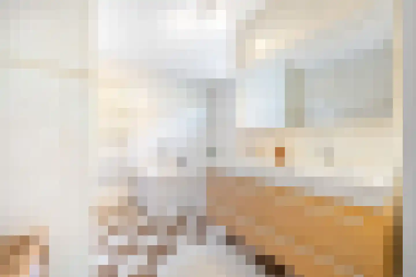 Krooneendstraat 23 Den Haag thumbnail 46