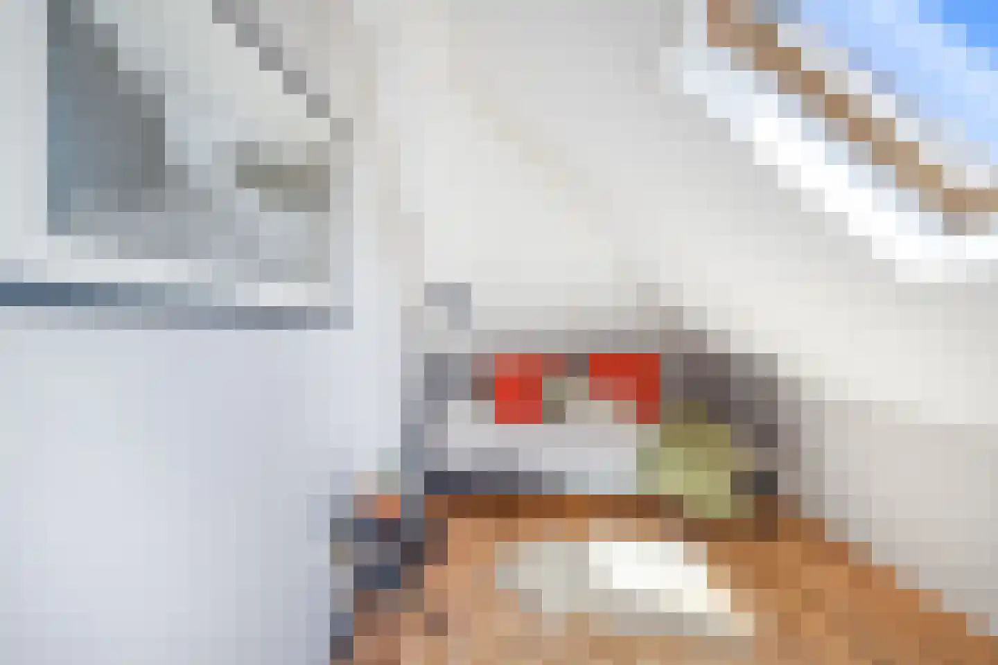 Krooneendstraat 23 Den Haag thumbnail 61