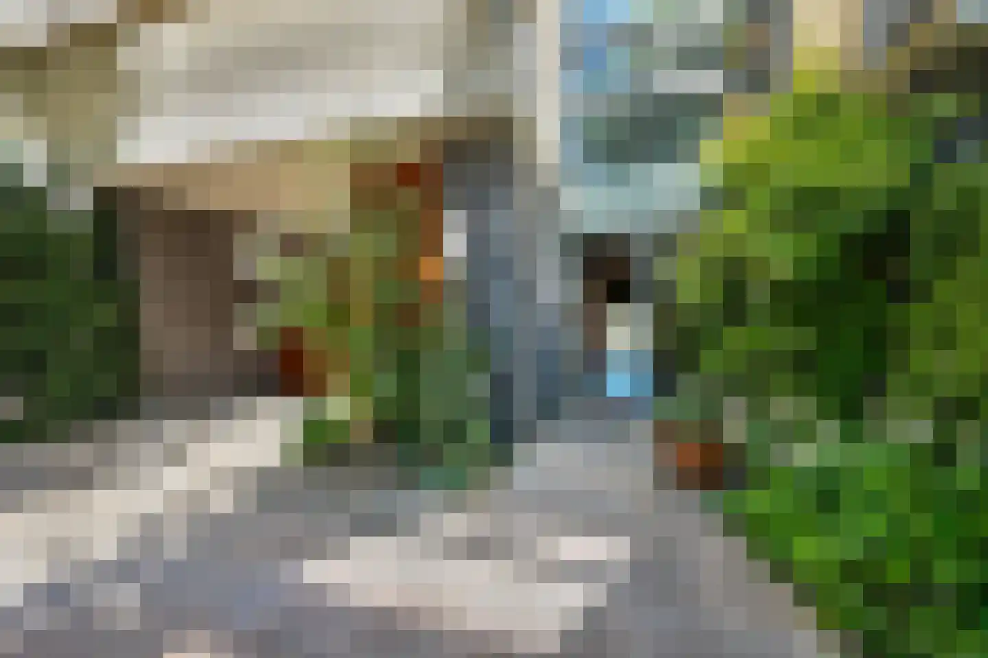 Krooneendstraat 28 Den Haag thumbnail 11