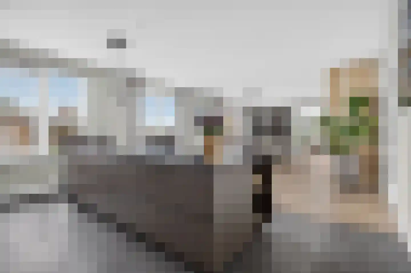 Kroonhof 2 Wijk en Aalburg thumbnail 14