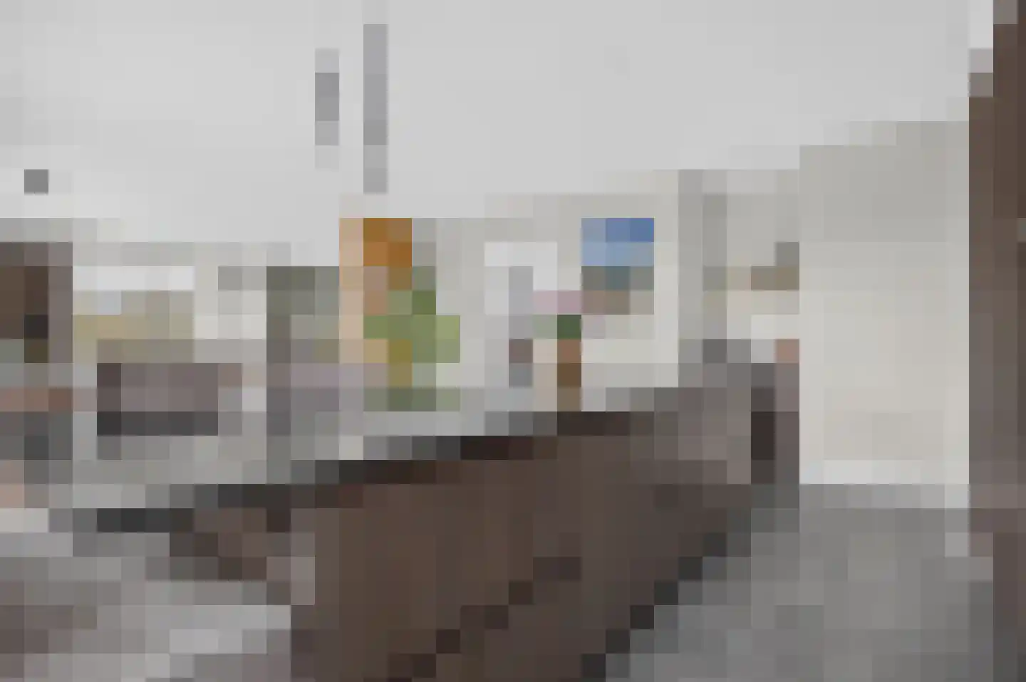 Kroonhof 2 Wijk en Aalburg thumbnail 17