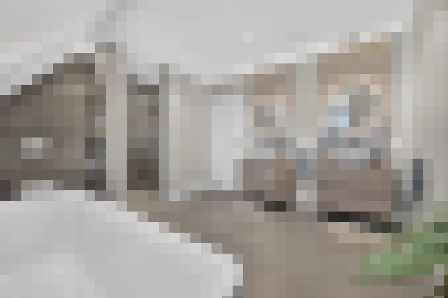 Kroonhof 2 Wijk en Aalburg thumbnail 27