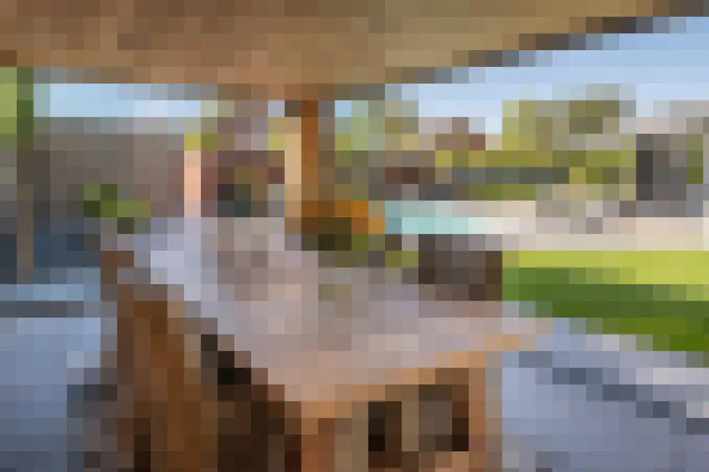 Kroonhof 2 Wijk en Aalburg thumbnail 43