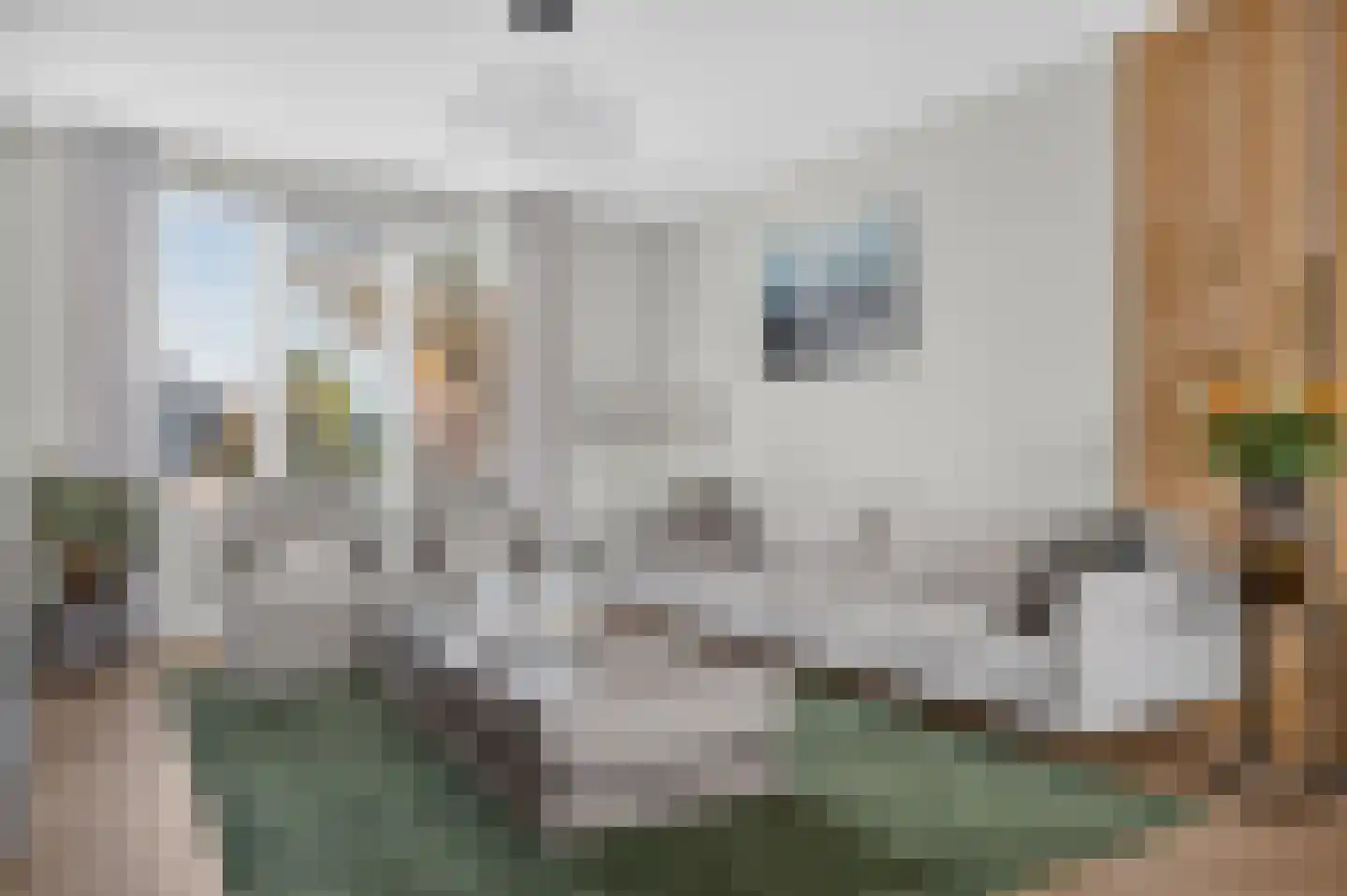 Kroonhof 2 Wijk en Aalburg thumbnail 8
