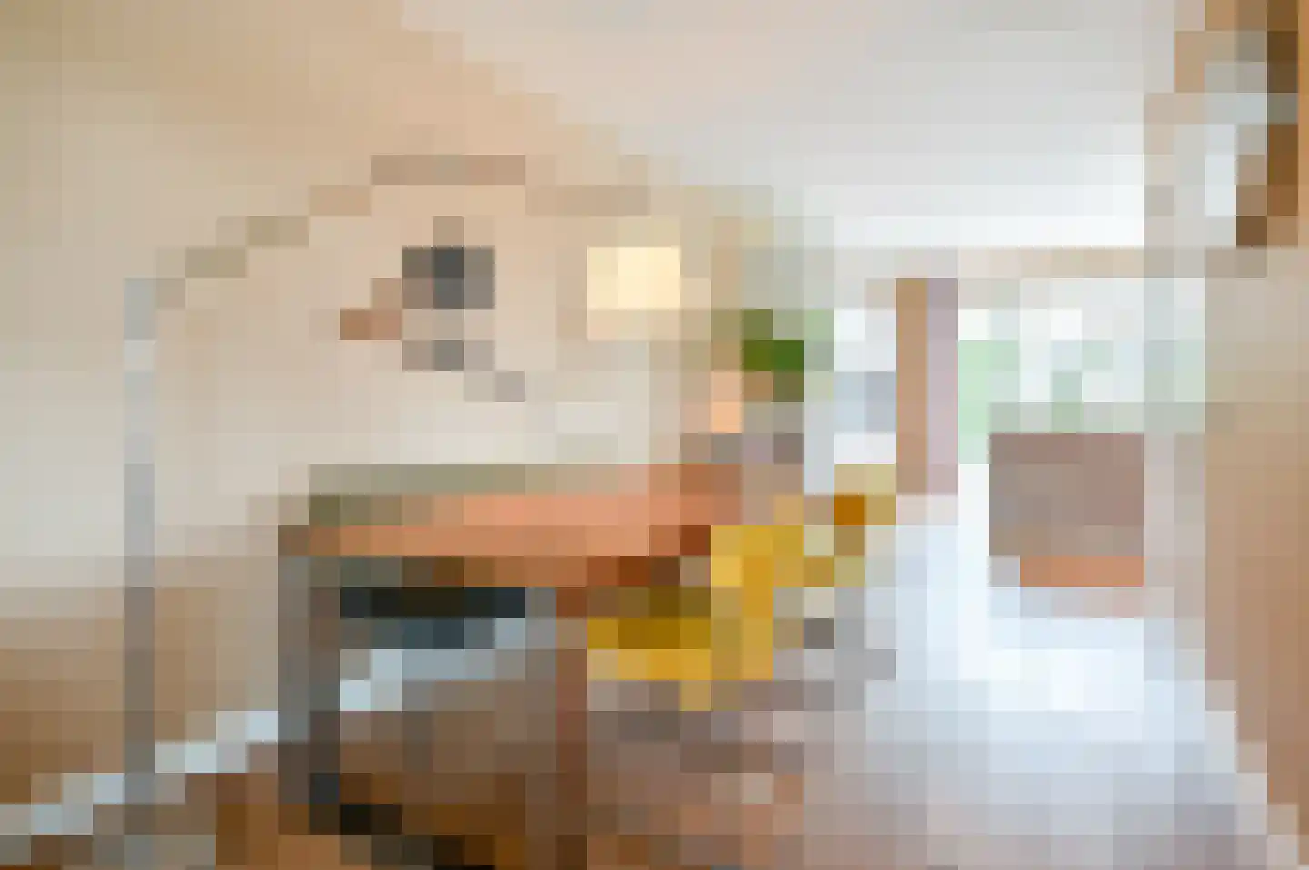 Kroonknoop 1 Almere thumbnail 17