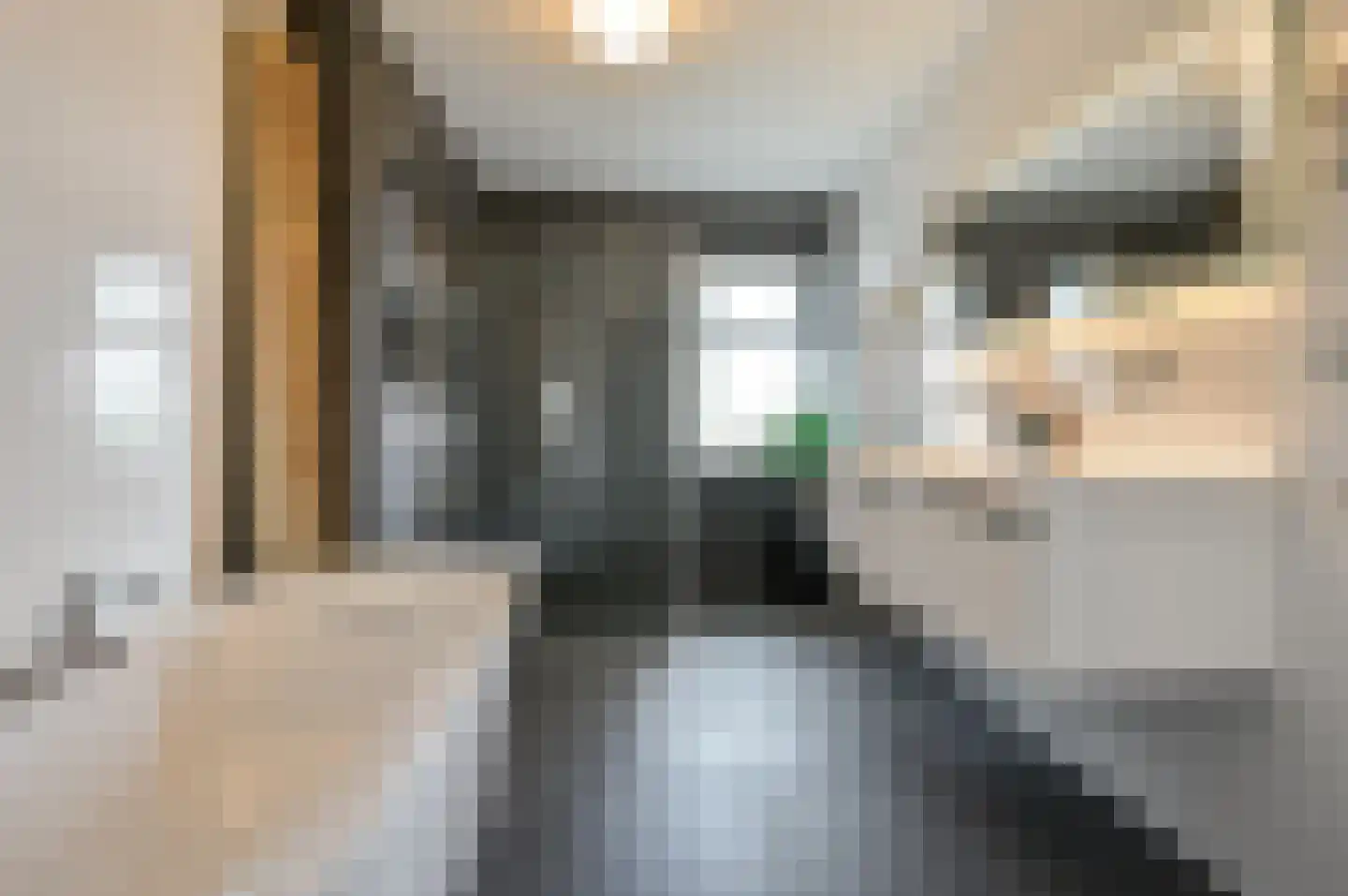 Kroonknoop 1 Almere thumbnail 27