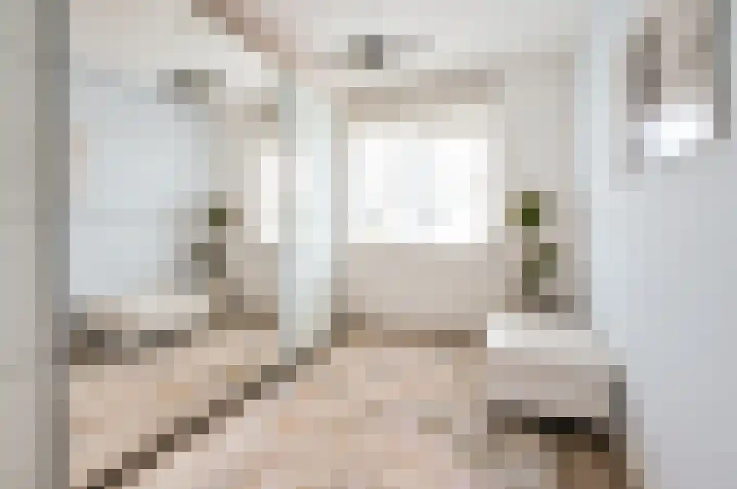 Kroonknoop 1 Almere thumbnail 32