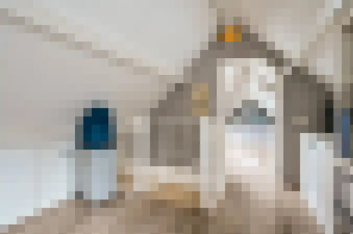 Kroonknoop 1 Almere thumbnail 34