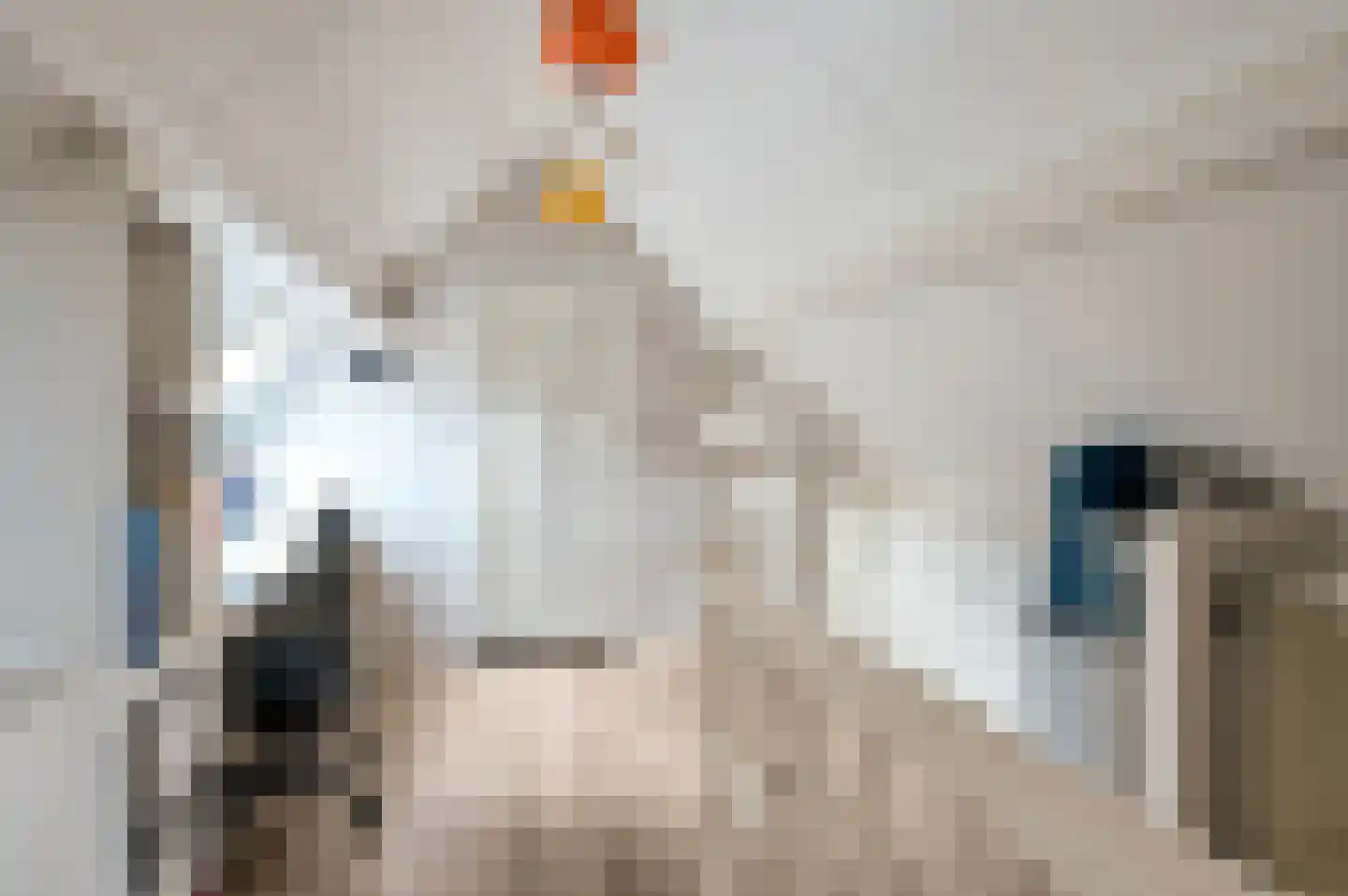 Kroonknoop 1 Almere thumbnail 35