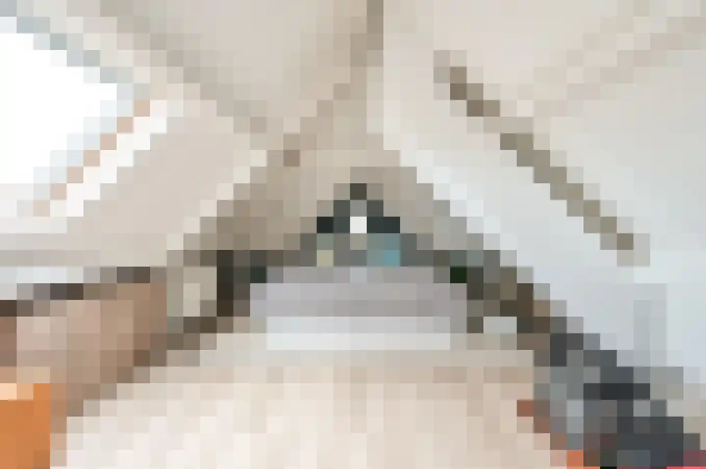 Kroonknoop 1 Almere thumbnail 37