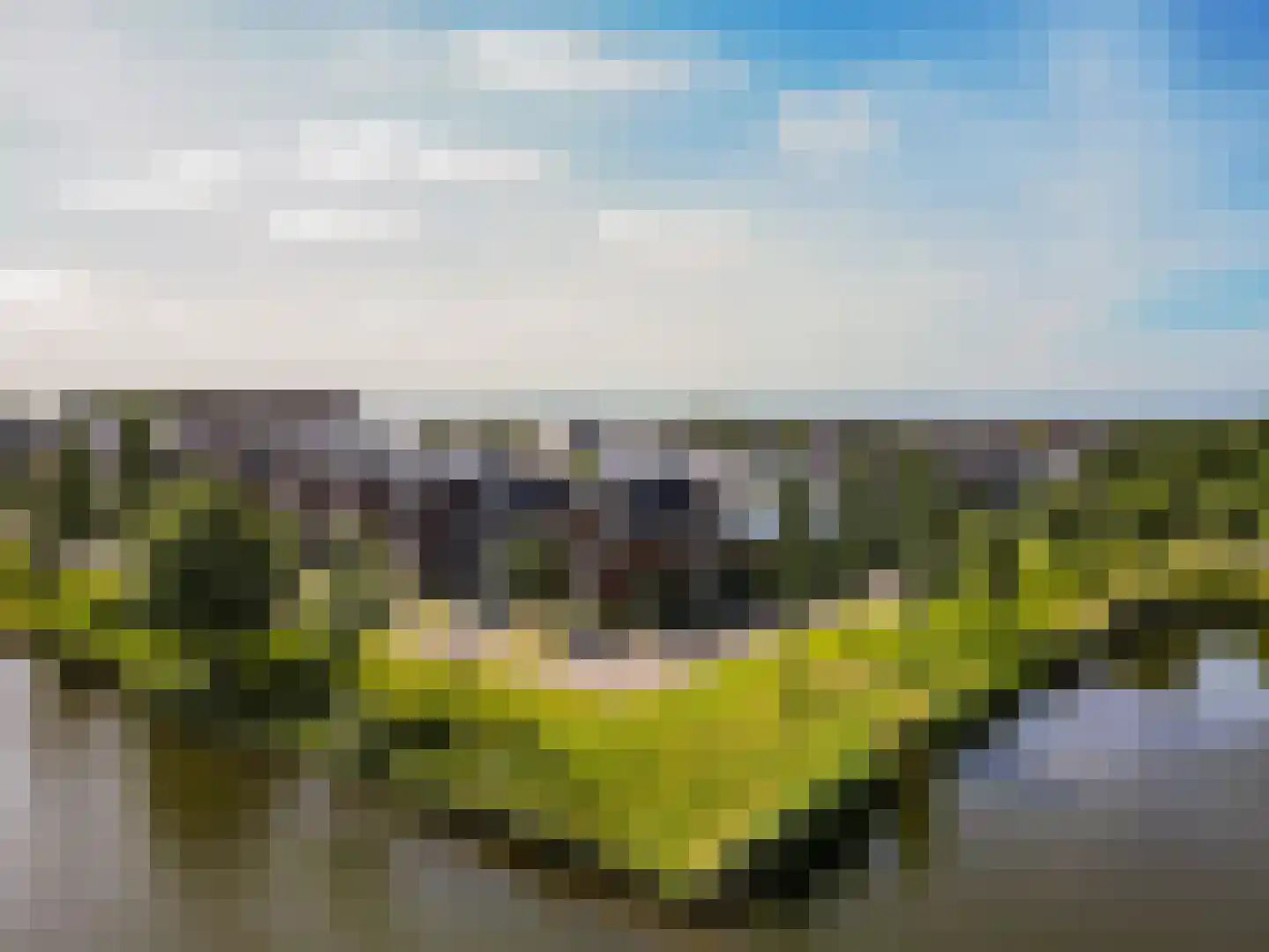Kroonknoop 1 Almere thumbnail 52