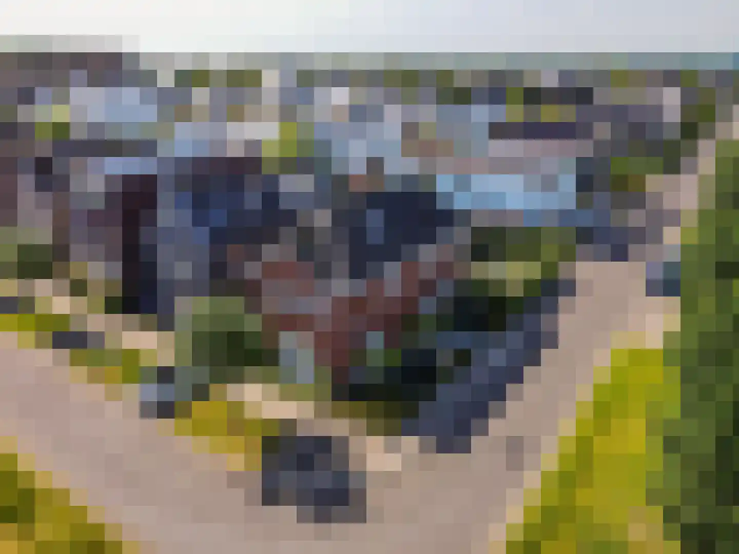 Kroonknoop 1 Almere thumbnail 55