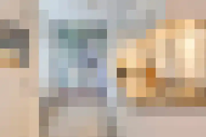 Kroonkruid 1 Venray thumbnail 11