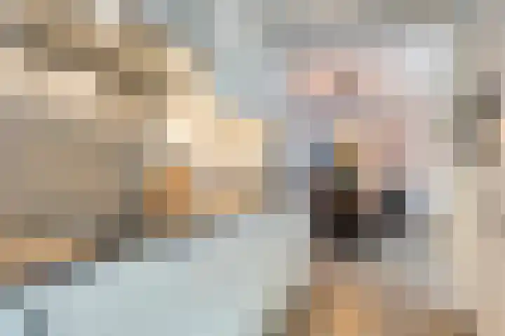 Kroonkruid 1 Venray thumbnail 12