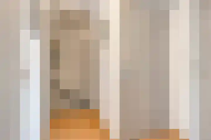 Kroonkruid 1 Venray thumbnail 14