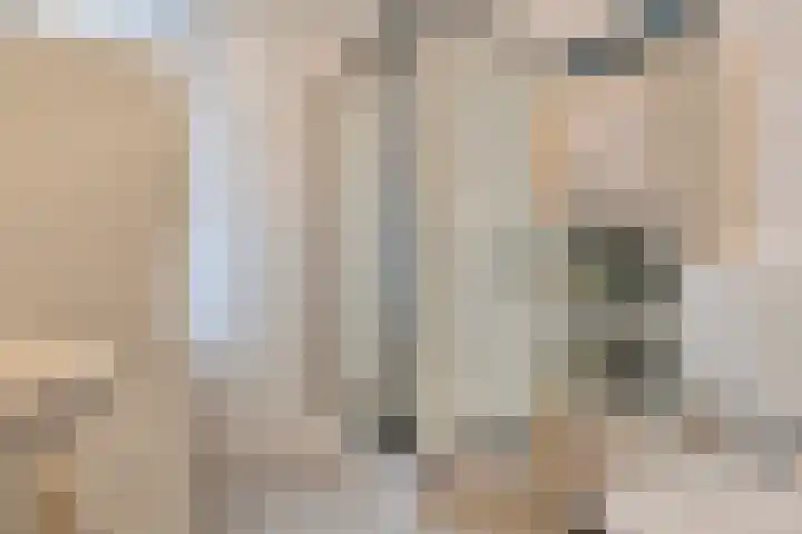 Kroonkruid 1 Venray thumbnail 18
