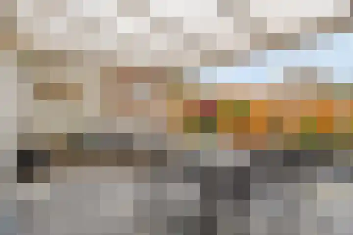 Kroonkruid 1 Venray thumbnail 22