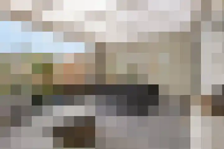 Kroonkruid 1 Venray thumbnail 23