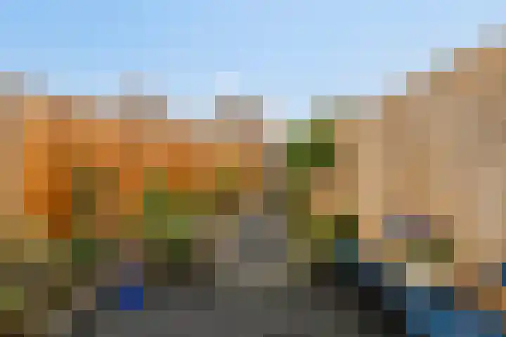 Kroonkruid 1 Venray thumbnail 24