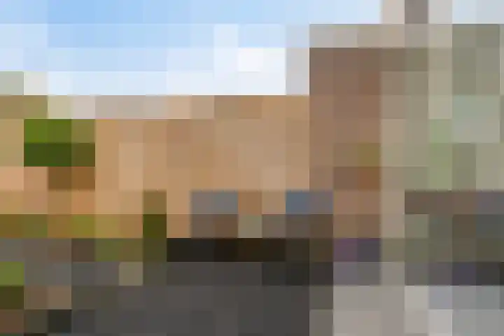 Kroonkruid 1 Venray thumbnail 25