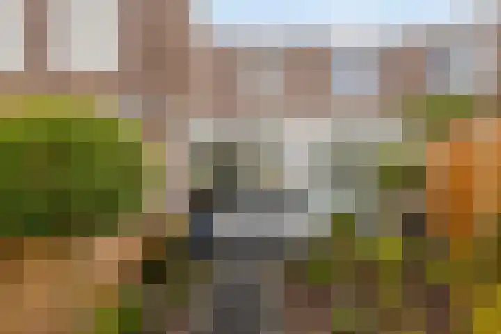 Kroonkruid 1 Venray thumbnail 26