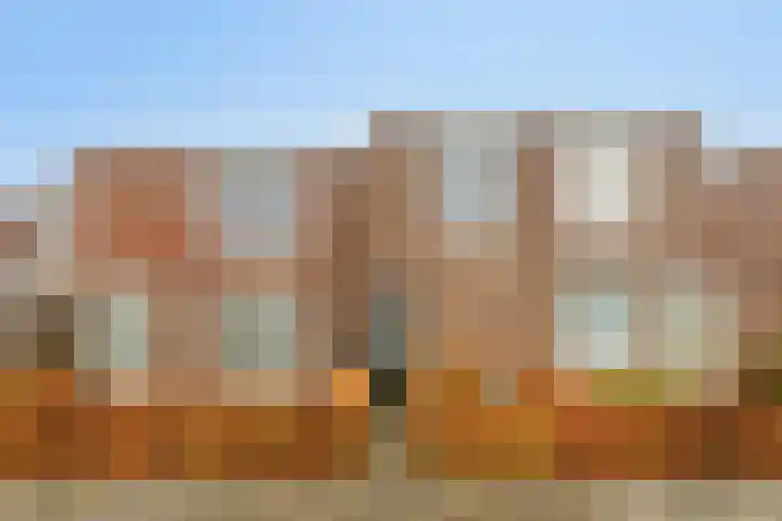 Kroonkruid 1 Venray thumbnail 27