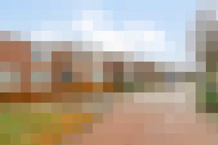 Kroonkruid 1 Venray thumbnail 28