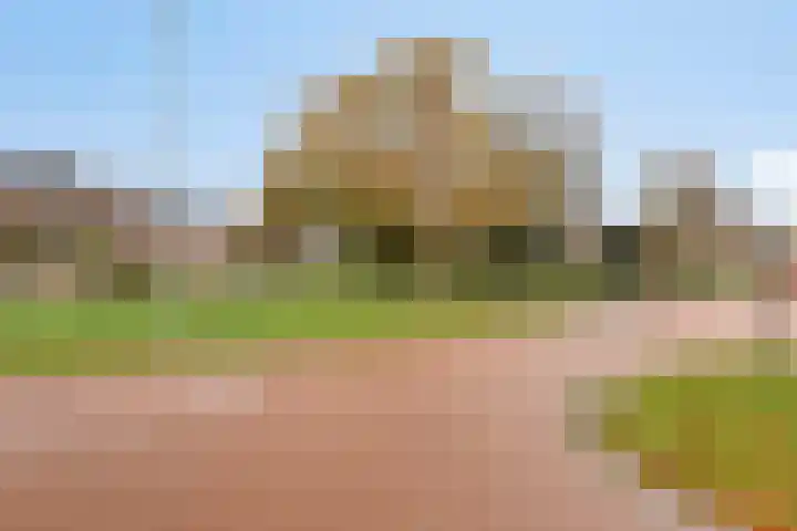 Kroonkruid 1 Venray thumbnail 29