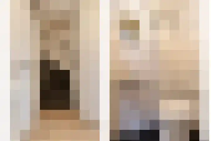 Kroonkruid 1 Venray thumbnail 4