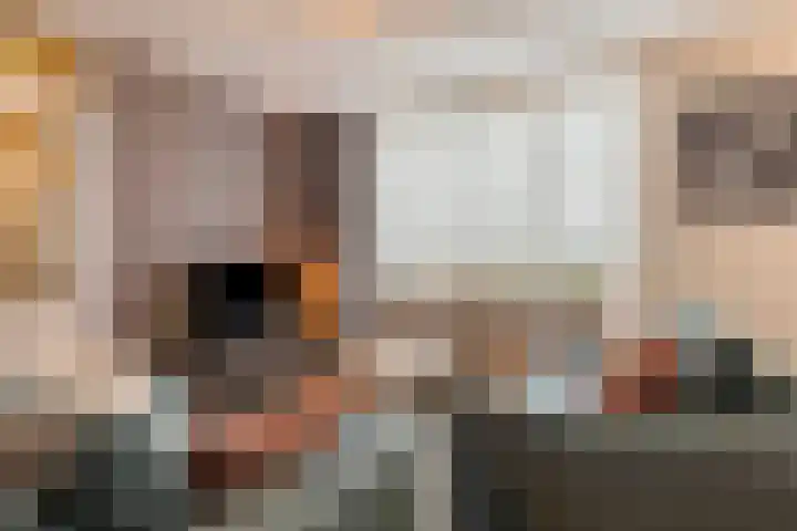 Kroonkruid 1 Venray thumbnail 6