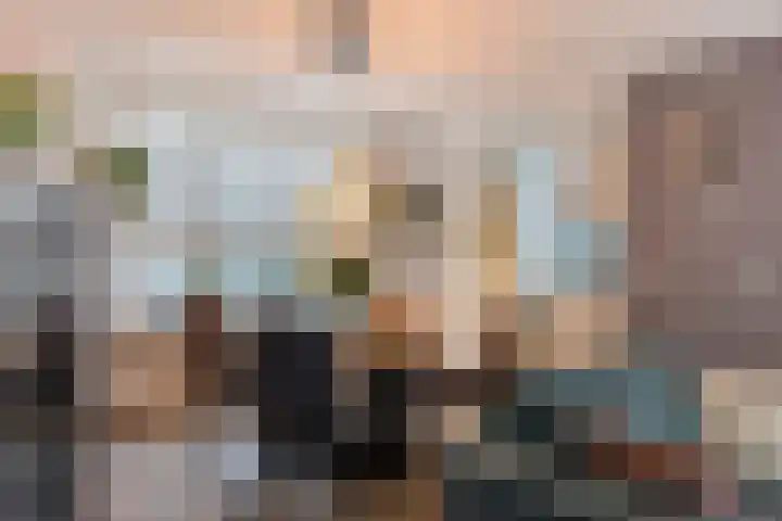 Kroonkruid 1 Venray thumbnail 8