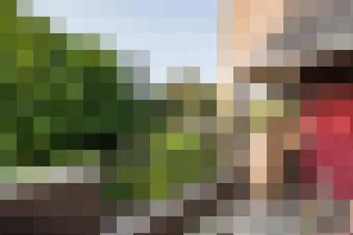 Kroonkruid 105 Nieuwerkerk aan den IJssel thumbnail 15