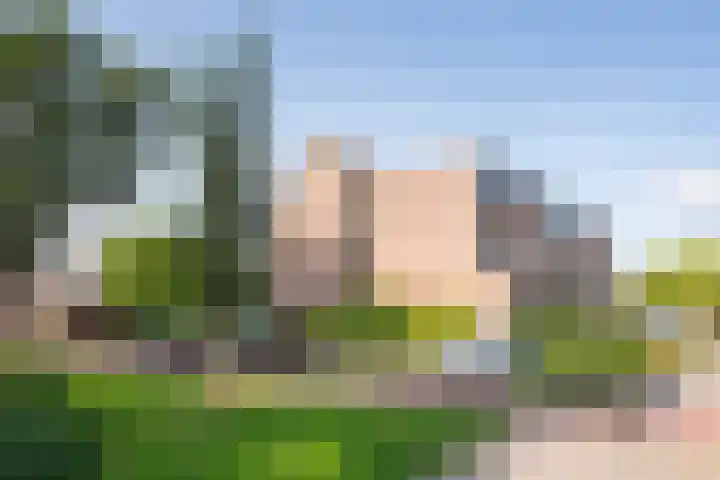 Kroonkruid 105 Nieuwerkerk aan den IJssel thumbnail 24