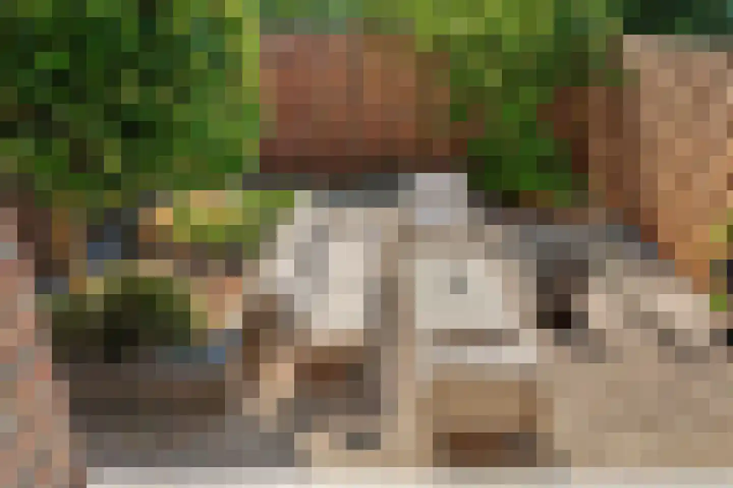 Kroonkruid 113 Nieuwerkerk aan den IJssel thumbnail 40
