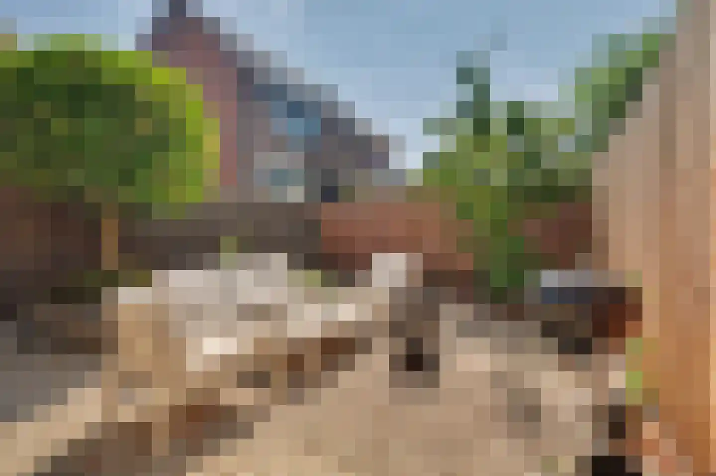Kroonkruid 113 Nieuwerkerk aan den IJssel thumbnail 42
