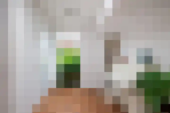 Kroonkruid 167 Nieuwerkerk aan den IJssel thumbnail 12