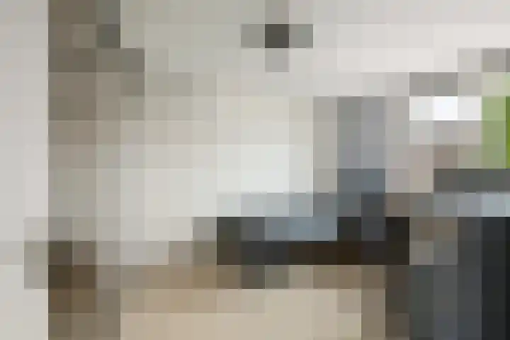 Kroonkruid 167 Nieuwerkerk aan den IJssel thumbnail 15